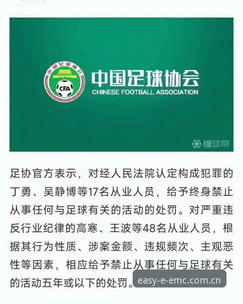 中国足协第三批禁足名单深度解析：17人终身禁赛背后的足球反腐风暴